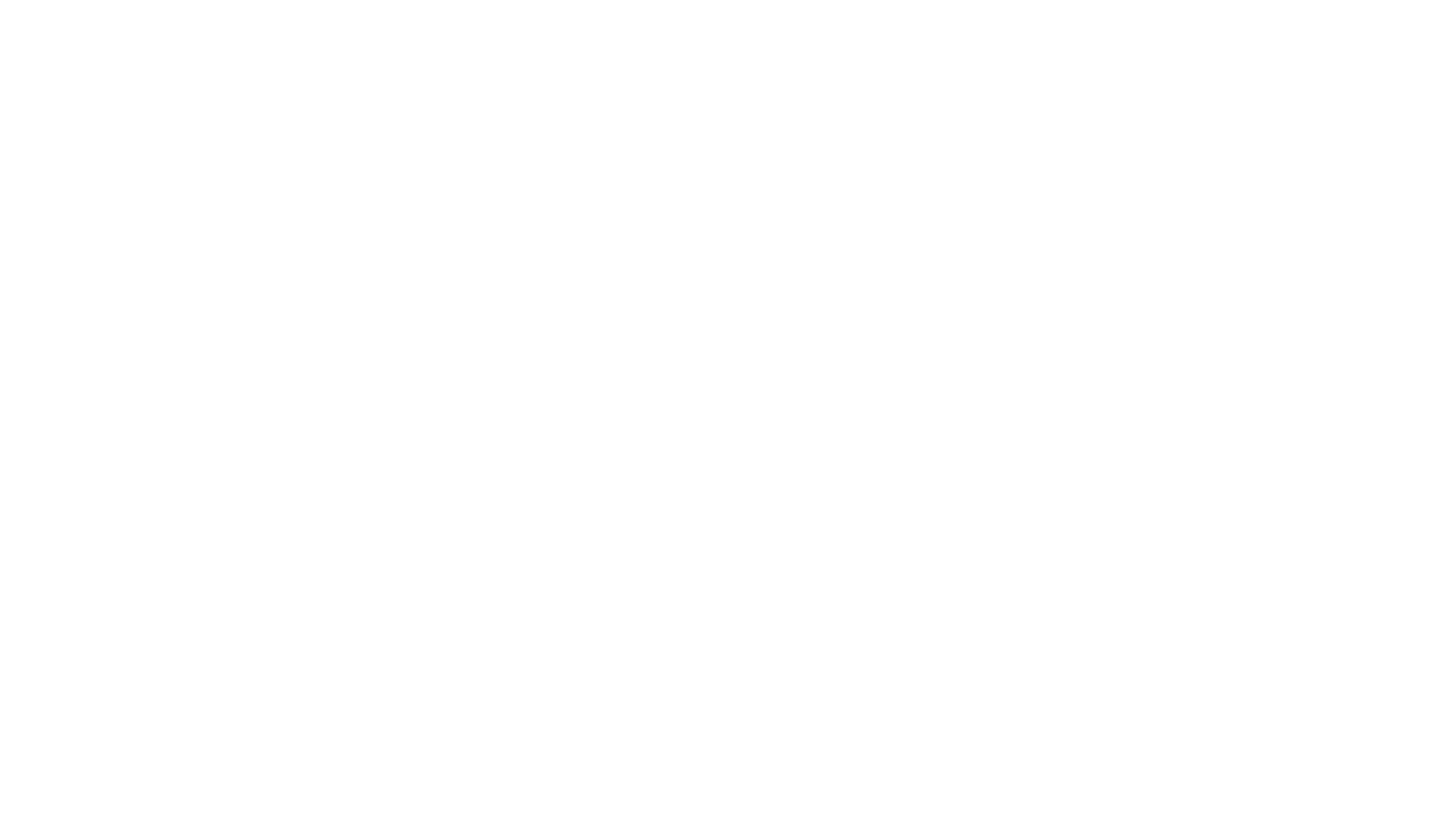 TRANSPORT NEIRAVLLC